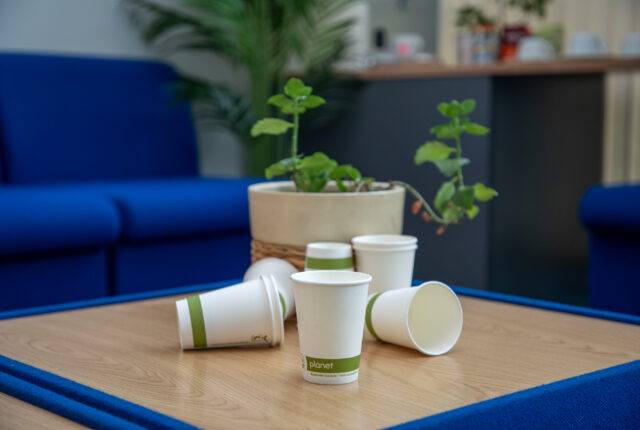 Paper cups sitting in front of an office plant